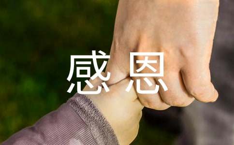 感恩一路有你